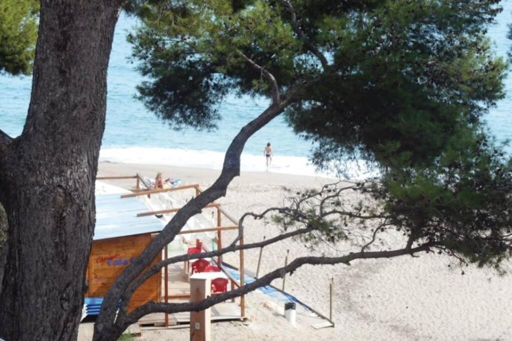 فيلا Preciosa Casa Con Piscina Al Lado De La Playa ميامي بلاتجا المظهر الخارجي الصورة